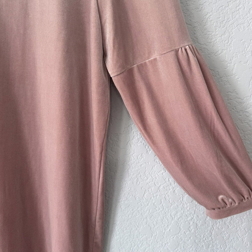 Madewell Velvet Balloon Sleve Dress