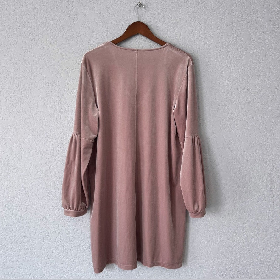 Madewell Velvet Balloon Sleve Dress