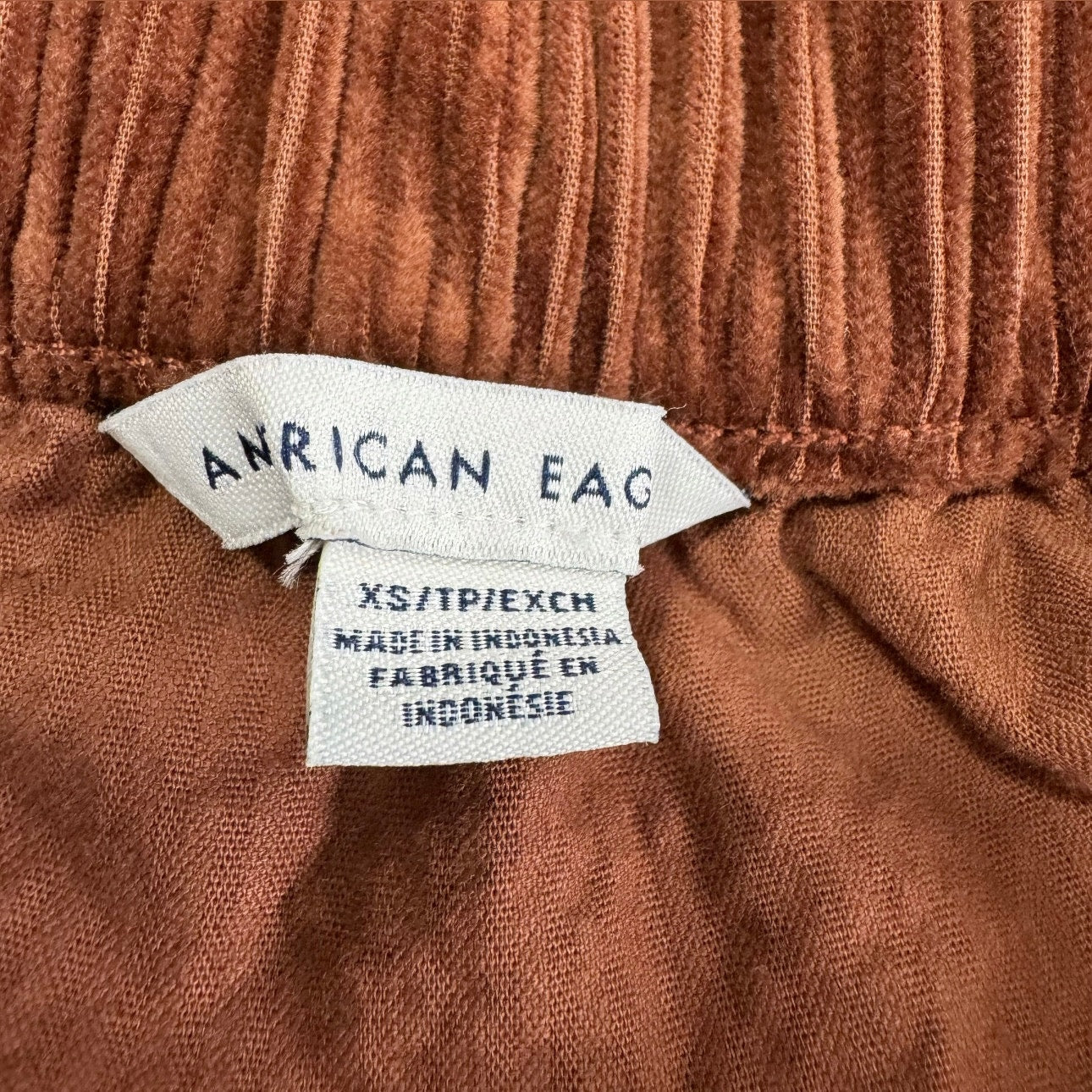 American Eagle Corduroy Mini Skirt