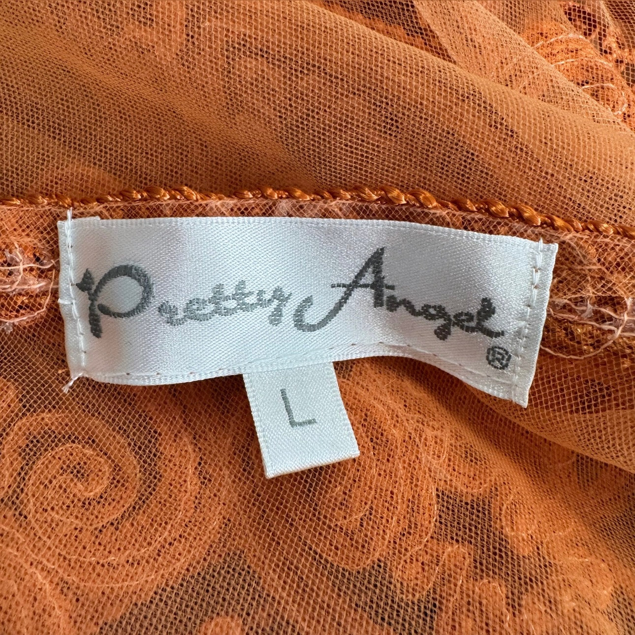 pretty angel sheer embroidered lingerie styled mini dress